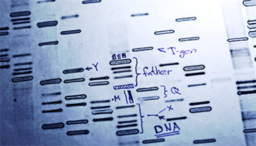 The Role of Genetics in Autism The Role of Genetics in Autism