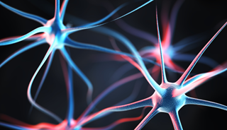 Loss of Brain Connections in Alzheimer's Opens Treatment Possibility Loss of Brain Connections in Alzheimer's Opens Treatment Possibility
