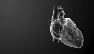 Depression Increases Death Risk in Women With Heart Disease Depression Increases Death Risk in Women With Heart Disease