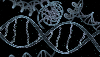 Identification of new gene involved in Parkinson's disease may result in new treatments Identification of new gene involved in Parkinson's disease may result in new treatments