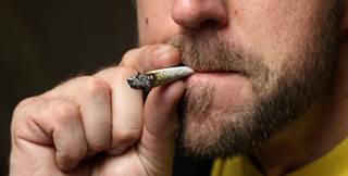 Cannabis Habit More Likely with Schizophrenia Gene Cannabis Habit More Likely with Schizophrenia Gene