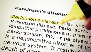 Antibodies May Aid In Parkinson's Therapy Antibodies May Aid In Parkinson's Therapy