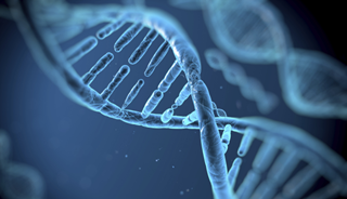 Researchers Find Genetic Mutation That Can Cause Autism Researchers Find Genetic Mutation That Can Cause Autism