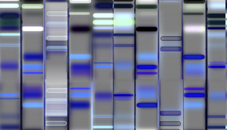 Autism Speaks, Google to Develop Autism Genomic Database Autism Speaks, Google to Develop Autism Genomic Database