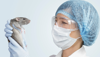In a neurocognitive mouse model, rolipram was able to restore a process in the brain that helps to lower toxic protein levels. In a neurocognitive mouse model, rolipram was able to restore a process in the brain that helps to lower toxic protein levels.
