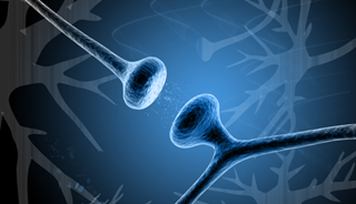 Neurosteroid Studied as Bipolar Depression Treatment Neurosteroid Studied as Bipolar Depression Treatment