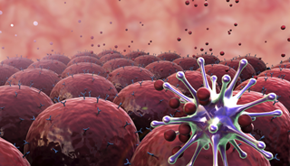 Immune Response Plays Role in Psychiatric Disorders Immune Response Plays Role in Psychiatric Disorders