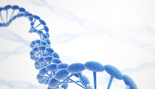 Psychotic Episodes in Adolescence Influenced by Genetic Heritability Psychotic Episodes in Adolescence Influenced by Genetic Heritability