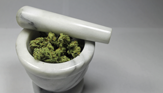 Medical Marijuana Laws May Stem Painkiller Overdose Deaths Medical Marijuana Laws May Stem Painkiller Overdose Deaths