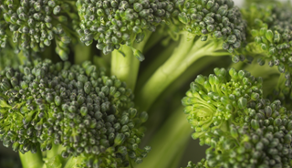 Chemical in Broccoli May Alleviate Autism Symptoms Chemical in Broccoli May Alleviate Autism Symptoms