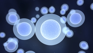 Stem Cells May Heal Brain Damage Caused By Parkinson's Stem Cells May Heal Brain Damage Caused By Parkinson's
