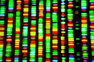 Pharmacogenetically Driven Treatments for Drug and Alcohol Dependence Pharmacogenetically Driven Treatments for Drug and Alcohol Dependence