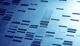 Biomarkers For Early Alzehimer's Disease Detection Biomarkers For Early Alzehimer's Disease Detection