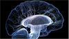 BRAIN Initiative Could Improve Understanding of Mental Illnesses BRAIN Initiative Could Improve Understanding of Mental Illnesses