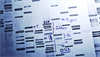 How Genetic Sequencing Can Improve Our Understanding of Autism How Genetic Sequencing Can Improve Our Understanding of Autism
