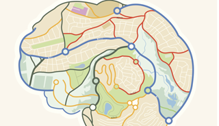 Serotonin 'Map' of Brain Can Yield Better Antidepressants Serotonin 'Map' of Brain Can Yield Better Antidepressants