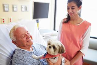 Therapy Dogs Alleviate Stress Associated with Cancer Treatment Therapy Dogs Alleviate Stress Associated with Cancer Treatment