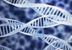 Gene Discovered That May Play Role in Anxiety, Schizophrenia Gene Discovered That May Play Role in Anxiety, Schizophrenia