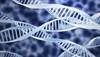 Genetic Discovery Could Lead to Development of New Bipolar Meds Genetic Discovery Could Lead to Development of New Bipolar Meds