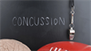 Mild Traumatic Brain Injury and Related Mental Health Issues Mild Traumatic Brain Injury and Related Mental Health Issues