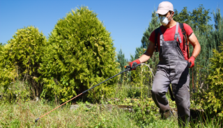 Common Pesticides Can Double ADHD Risk In Kids Common Pesticides Can Double ADHD Risk In Kids