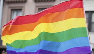 It is important to note that the LGBTQ community is not homogenous. It is important to note that the LGBTQ community is not homogenous.