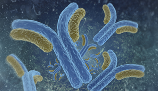 Antibodies to Brain Proteins May Trigger Psychosis Antibodies to Brain Proteins May Trigger Psychosis