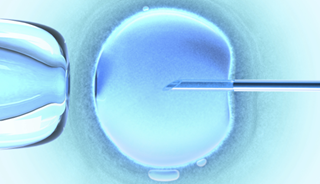 Children Conceived Through IVF May Have Higher Autism Risk Children Conceived Through IVF May Have Higher Autism Risk