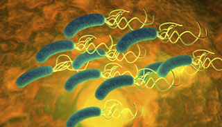 Psychiatry and the Gut: The Role of Microbiota in Mood Disorders Psychiatry and the Gut: The Role of Microbiota in Mood Disorders