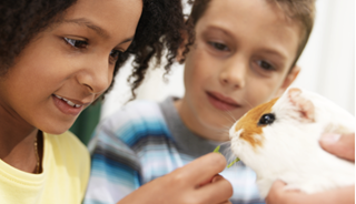 Pets May Help Ease Social Anxiety in Kids With Autism Pets May Help Ease Social Anxiety in Kids With Autism