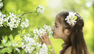 Smell Test Could Provide Earlier Diagnosis of Autism Smell Test Could Provide Earlier Diagnosis of Autism