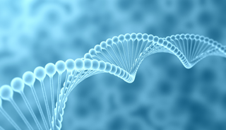 Gene Therapy an Effective Treatment for Alzheimer's Gene Therapy an Effective Treatment for Alzheimer's
