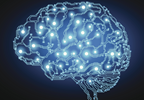 Blocking Memory Pathway Could Prevent PTSD Blocking Memory Pathway Could Prevent PTSD