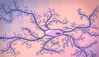 Malfunctioning microglia can cause depression, but drugs that restore the normal functioning of them can be as effective as antidepressants. Image courtesy of MIT. Malfunctioning microglia can cause depression, but drugs that restore the normal functioning of them can be as effective as antidepressants. Image courtesy of MIT.