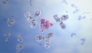 Hyperactive Neurons Behind Failure of Immunotherapy for Alzheimer's Hyperactive Neurons Behind Failure of Immunotherapy for Alzheimer's