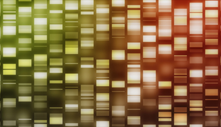 Genetics May Influence Marijuana Dependence in Childhood Abuse Victims Genetics May Influence Marijuana Dependence in Childhood Abuse Victims