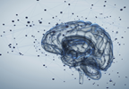 PTSD Linked To Chemical Imbalance in Brain PTSD Linked To Chemical Imbalance in Brain