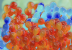 Proteins Could be Potential Bipolar Disorder Biomarkers Proteins Could be Potential Bipolar Disorder Biomarkers