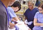 Trauma Teams Face High Rates of Compassion Fatigue, Burnout Trauma Teams Face High Rates of Compassion Fatigue, Burnout