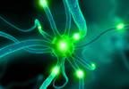 Suppression of Auditory Stimuli Associated With Pathologic Symptoms of Schizophrenia Suppression of Auditory Stimuli Associated With Pathologic Symptoms of Schizophrenia