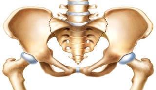 Clinicians should realize the potential harm ADHD medications may pose to maturing bones, and consider nutritional counseling. Clinicians should realize the potential harm ADHD medications may pose to maturing bones, and consider nutritional counseling.