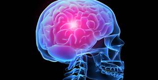 Attention-deficit/hyperactivity should be considered a brain disorder, researchers say. Attention-deficit/hyperactivity should be considered a brain disorder, researchers say.