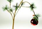 Seasonal Affective Disorder: An Overview Seasonal Affective Disorder: An Overview