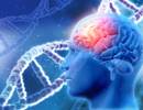 Interactions Between Organic Solvent Exposure, Smoking, and MS Susceptibility Interactions Between Organic Solvent Exposure, Smoking, and MS Susceptibility