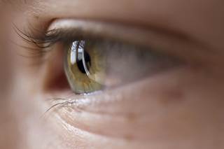 Cognitive fatigue's effects on concentration and attention have been studied but not on visual memory in people with MS. Cognitive fatigue's effects on concentration and attention have been studied but not on visual memory in people with MS.