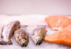 Autism Symptoms Not Aided By Special Diets, Supplements Autism Symptoms Not Aided By Special Diets, Supplements