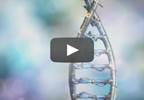 Gene Linked to Increased Risk of Nicotine Dependence Identified Gene Linked to Increased Risk of Nicotine Dependence Identified