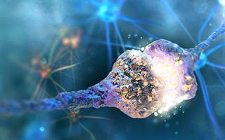 Compared with healthy controls, overweight/obese women and those with anorexia nervous had lower serum allopregnanolone levels. Compared with healthy controls, overweight/obese women and those with anorexia nervous had lower serum allopregnanolone levels.