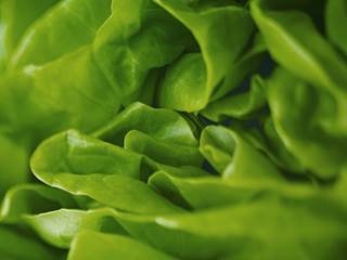 Consumption of leafy green vegetables was correlated with slower rates of cognitive decline. Consumption of leafy green vegetables was correlated with slower rates of cognitive decline.