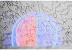 Involuntary Brain Responses to Sensory Pattern Changes in PTSD Involuntary Brain Responses to Sensory Pattern Changes in PTSD
